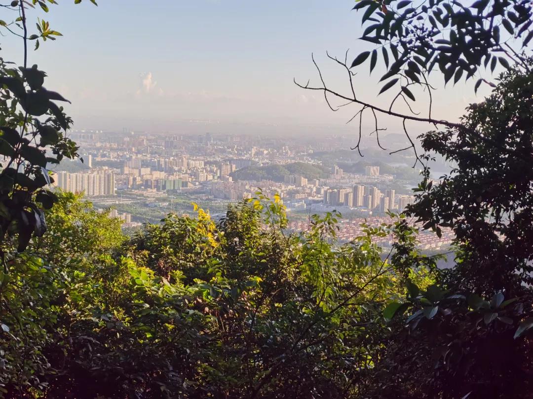 鸿运国际·(中国)首页入口-鸿运hv官网迎接您